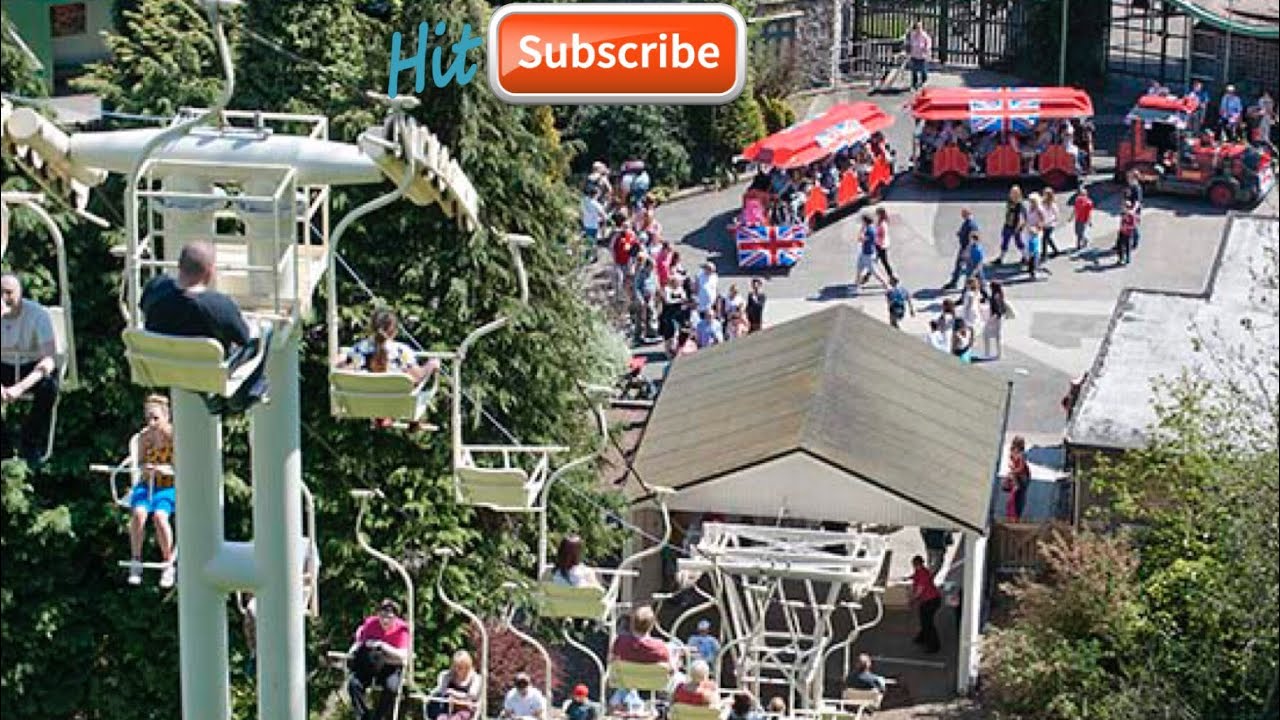 Dudley zoo 2019 feeding time Kids Style YouTube