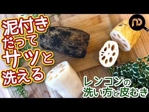 レンコンの下処理① 洗い方と皮むきの方法　N.D.Kitchen Basic