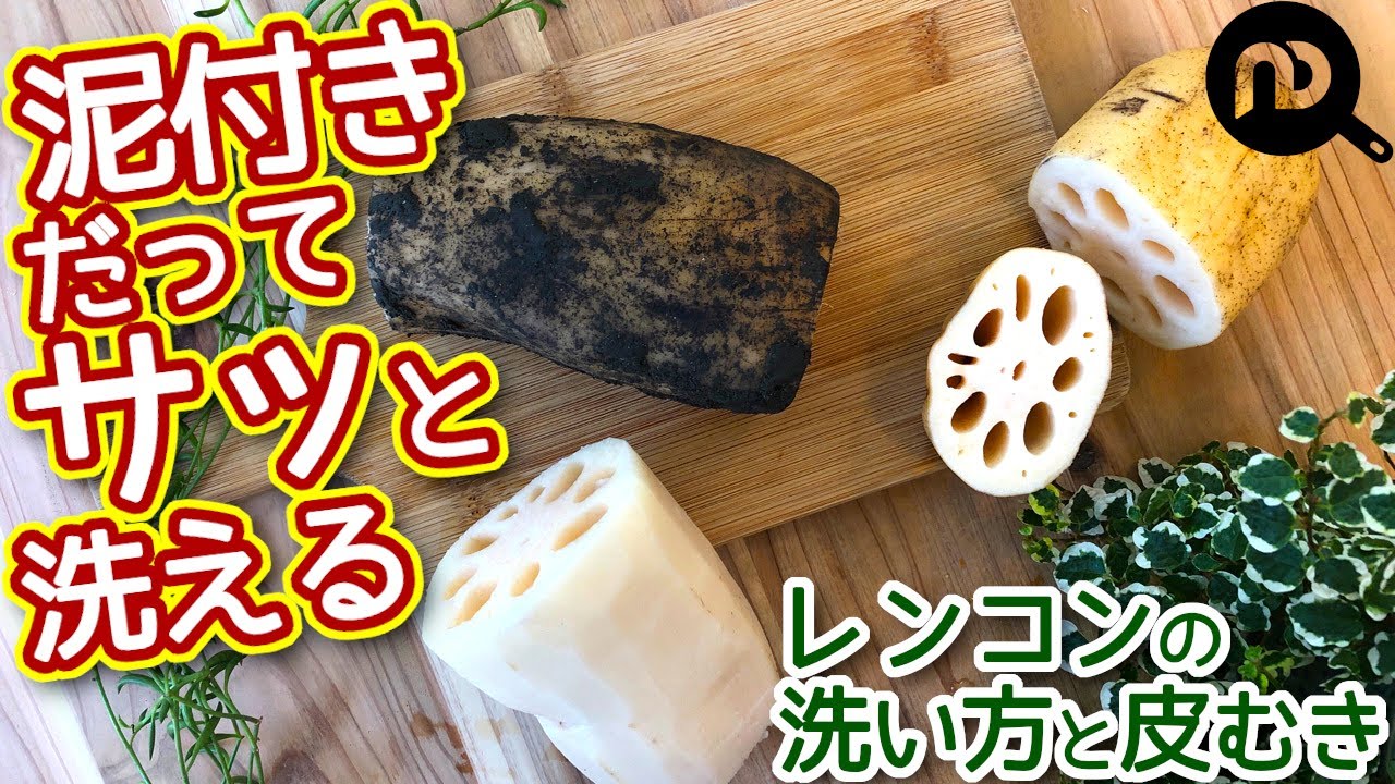 れんこん 下 処理