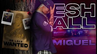 𝐀𝐌𝐈𝐆𝐎  2   #MS13FAMILIES #ls13 #hopeindonesia