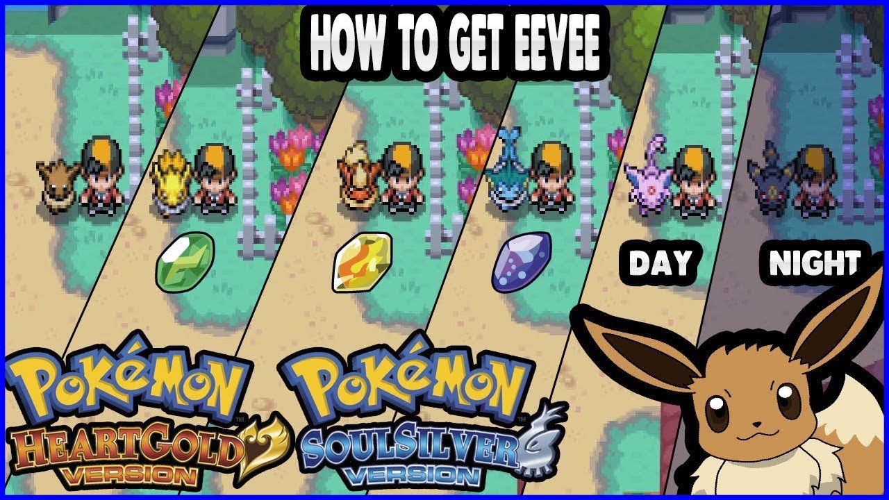Pokemon Heartgold And Soulsilver How To Get Eevee Evolve It