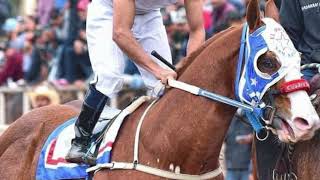 Corrido del Payaso, campeón del maturity millonario en Tonalá Jalisco, enero 2024, golden y peligro