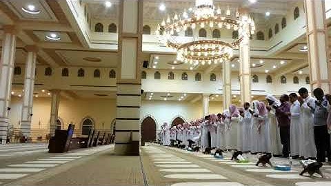 تلاوة مؤثرة  لموقف " يوسفﷺ وامرأة العزيز "  للشيخ خالد البكر رمضان 1440