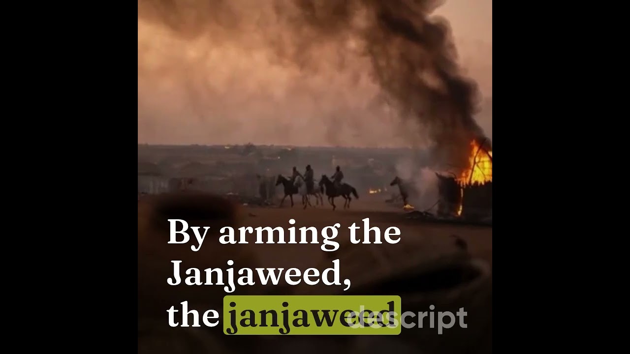 Genocide and Devastation  The Janjaweed Violence