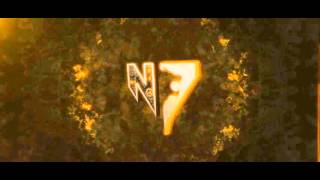 N7 Intro Collection