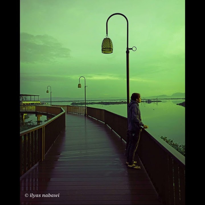 status WA _ ungu apalah arti cinta