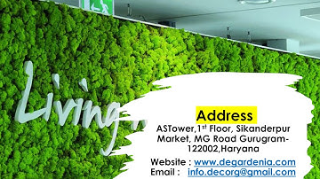 Natural vertical garden/moss wall/green wall/moss design