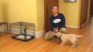 Puppy Housetraining - Using and sizing a crate http://www.watchandtrain.com Puppy housetraining tips. How to size a crate for a puppy. How to start the housetraining process.
