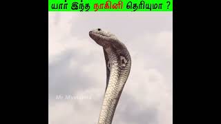 யார் இந்த நாகினி தெரியுமா ? | Who is this Nagini? #Shorts #motivation