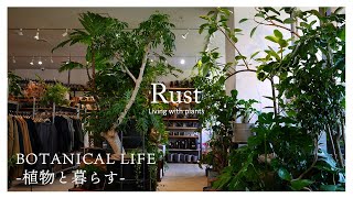 【観葉植物】植物とともに、時間を共有する。ワンランク上の素敵な「大人の園芸店」｜Rust｜東京｜立川｜植物店巡り｜GREEN SPRINGS