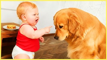 FUNNIEST Babies and Pets Compilation 2025 😂| Try Not to Laugh Challenge