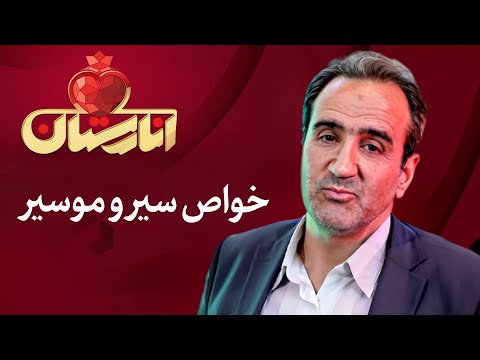 انارستان خواص سیر و موسیر 