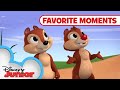 Nutty Tales Compilation! Part 1 | Chip 'N Dale's Nutty Tales | Disney Junior