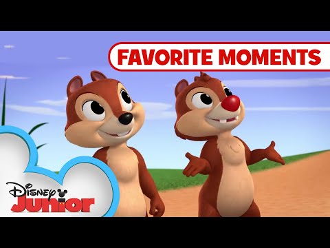 Nutty Tales Compilation! Part 1 | Chip 'N Dale's Nutty Tales | Disney Junior