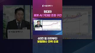 60만 원 오면 무조건 담아라? 현대차 로봇 사업 전망