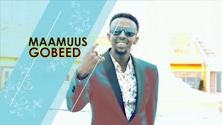 AWALE ADAN | HEES CUSUB | MAHAD CELIN | NEW SOMALI MUSIC | 2021