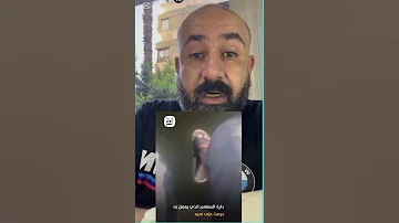 إنت ح ا ر عامل دليفري من فوق كوبري مسطرد 
