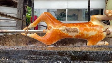 Gặp cao thủ quay chó đẹp như trong tranh rất nhiều em gái bâu vào