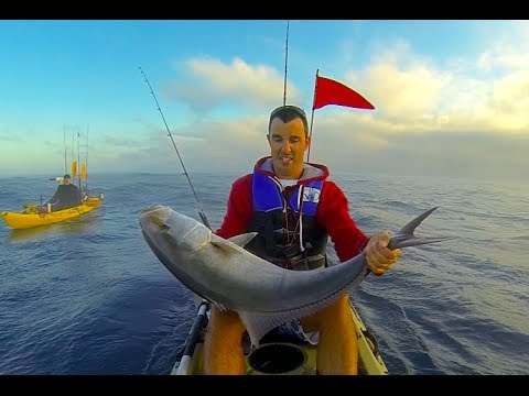 Kayak Fishing Huge Amberjack Dania Beach Florida 11 28 2017 You Kayak Fishing Huge Amberjack Dania Beach Florida 11 28 2017