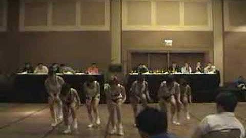 Chapter Five Lambda LiL Sis Step Convention 2008 in Chicago