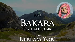 Reklamsız Kur'an Uyku için | Sure Bakara | 10 Saat | Şeyh Ali Cabir