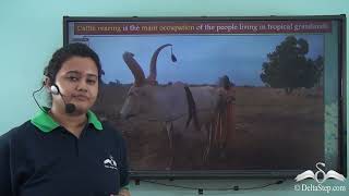 Tropical Grasslands_Vegetation and Human Adaptation
