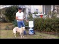 Portable LP Tankless Water Heater CAMPING - PET WASH - OFF GRID