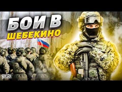 Ополченцы зашли в пригород Шебекино, выгнав оттуда войска Путина: кадры боев