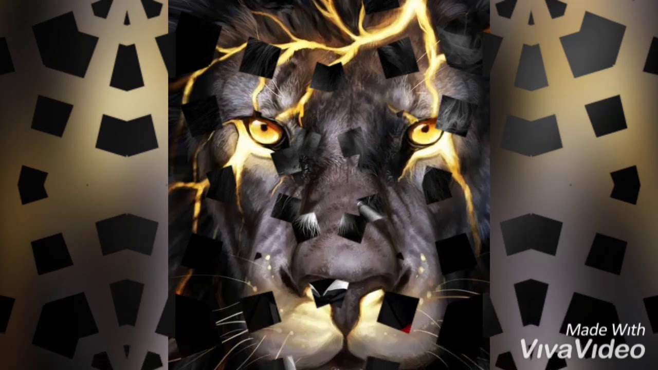 king of jungle profile pictures and wallpapers...😎