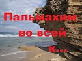 Пальмахим Израиль. Впечатления от поездки