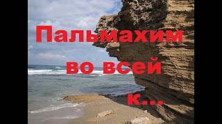 Пальмахим Израиль. Впечатления от поездки