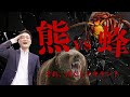 【熊はぜんぜん危なくない】リスクと向き合うための確率思考術とは