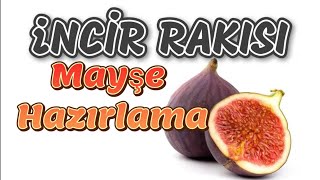 İncir Rakısı Mayşe Hazırlama