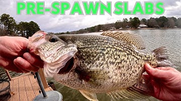 PRE-SPAWN CRAPPIE FISHING for GIANT SLABS! Easy & Effective Method for 2025!