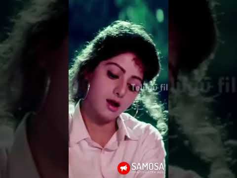 jamuratri jabilamma song