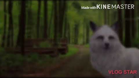 360 VR video coming soon..200 subs(processing..)