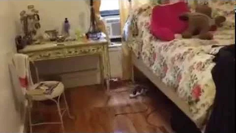 Copy of 11869994 1027848653906498 987062497 n