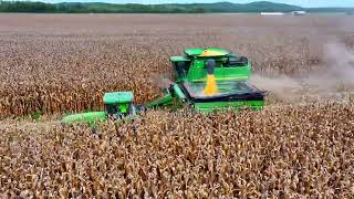 Corn harvest 2023
