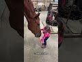 Her Last Day With Her Horse Friends ❤️🐴