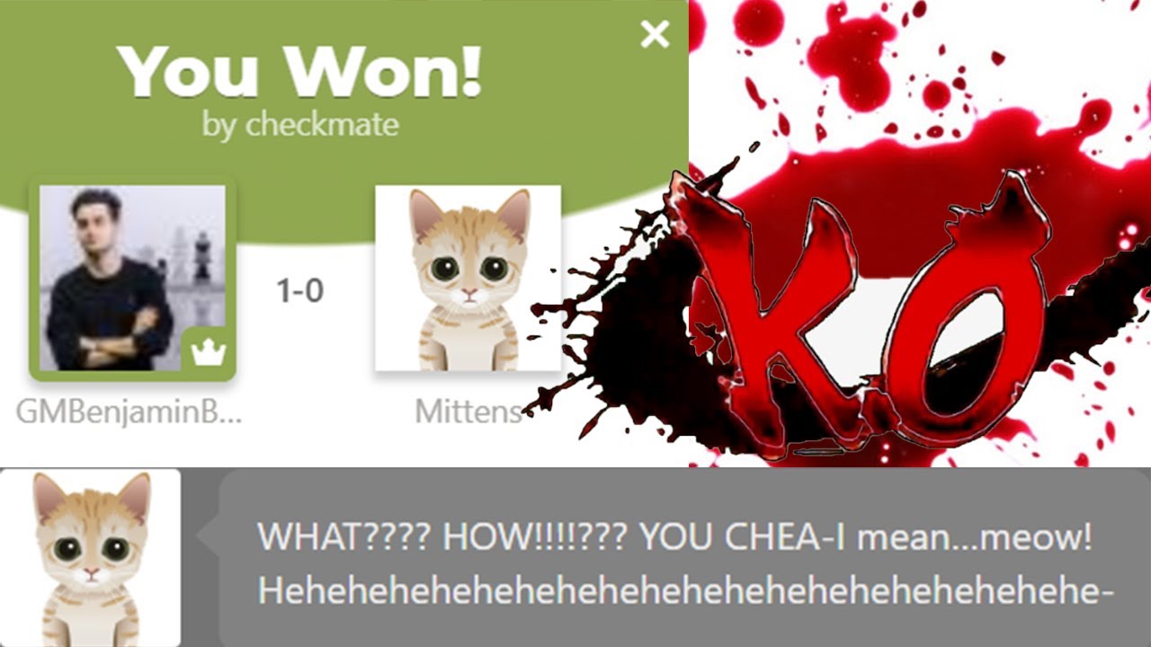 Why is the Chess.com cat bot, Mittens, so popular?