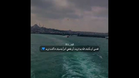 راحة نفسية🌸/تلاوة قرانية قصيرة/تلاوة قرانية خاشعة/تلاوة قصيرة/ستوريات انستا#قران/اجمل صوت قران♥