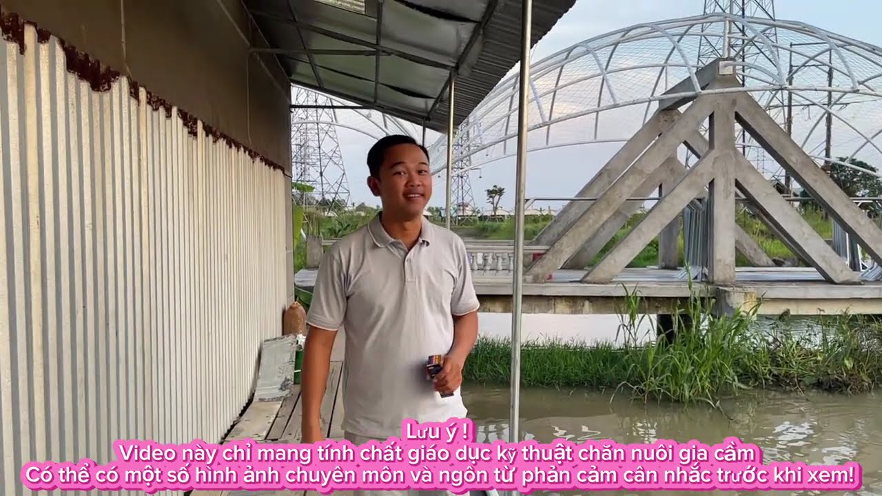 Bảo vệ hệ tiêu hóa cho gia cầm và top hoa hậu Duyên Ti 13/2/26