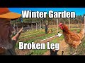 Winter Prep Farm Life - Chicken with Broken Leg