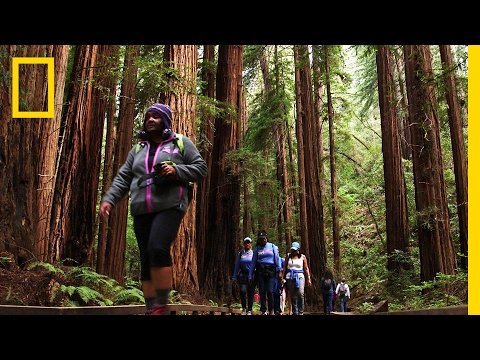 National Parks: Inside