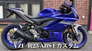 【2020 YZF-R25 ABS Eカスタム】T-Spaceオリジナルコンプリート新車！MRAスクリーン+DAYTONAヘルメットホルダー装備！