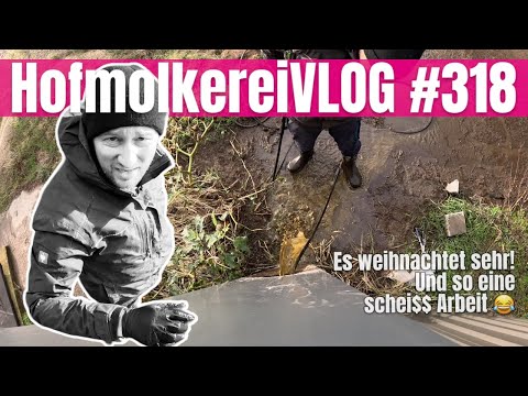 ROSAKuh VLOG#318: Weihnachten! und Scheißarbeiten!