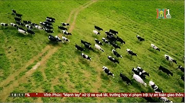 Từng bước phát triển nền nông nghiệp công nghệ cao | Hanoi TV