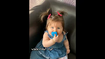 يابنات يابنات نانسي عجرم حالات واتساب 