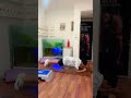 #motivation #viralfeeds #absworkout #shortsvideo #shortsfeed #shorts