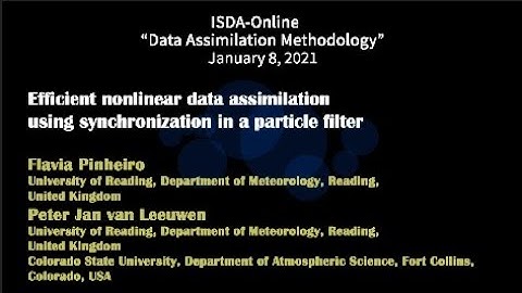 ”Efficient nonlinear data assimilation using ..." Flavia Pinheiro/ Peter Jan van Leeuwen